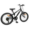 vidaXL Kids Mountain Bike 20 Zoll 6-Speed f&uuml;r 5-8 Jahre alt Schwarz