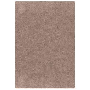 vidaXL Anti-Rutsch Shaggy Teppich Braun 80 x 150 cm PP
