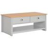 vidaXL Couchtisch Grau 100x50x42 cm