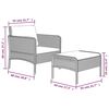 vidaXL 2-tlg. Garten-Lounge-Set mit Kissen Grau Poly Rattan
