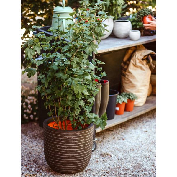 Capi Blumentopf Nature Row 43x41 cm Olivgr&uuml;n