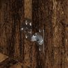 Produkt-Miniaturbild 9 von 12