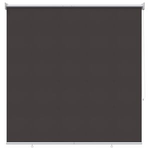 vidaXL Au&szlig;en-Rollos mit UV-Schutz Anthrazit 100 x 230 cm (B x H)