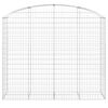 vidaXL Gabione mit Hochbogen 200x50x160/180 cm Verzinktes Eisen