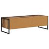vidaXL TV-Schr&auml;nk Altholz 100 x 36,5 x 30,5 cm Holzwerkstoff
