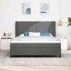 vidaXL Boxspringbett mit Matratze Dunkelgrau 180 x 200 cm Stoff