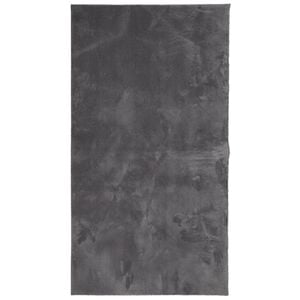 vidaXL Teppich HUARTE Kurzflor Weich und Waschbar Anthrazit 60x110 cm