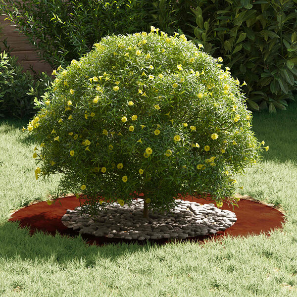 vidaXL geeignet f&uuml;r flache Baumringe 5 pcs Braun &Oslash;50 / 80 cm