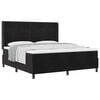 vidaXL Boxspringbett mit Matratze Schwarz 180 x 200 cm Samt