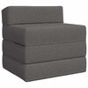 vidaXL Klappbares Schlafsofa Hellgrau 70 x 60 x 63 cm Stoff
