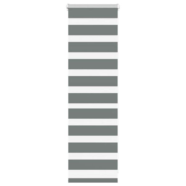 vidaXL Doppelrollo Dunkelgrau 45x100 cm Stoffbreite 40,9 cm Polyester