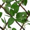 Produkt-Miniaturbild 6 von 7