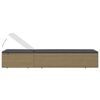 vidaXL Sonnenliege Poly Rattan Braun und Dunkelgrau