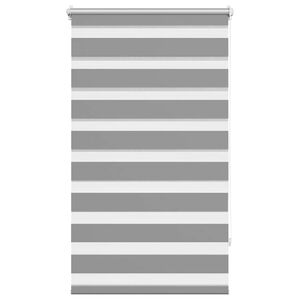 vidaXL Zebra-Rollo 70,9 x 120 cm, Stoffbreite 66,7 cm, grau