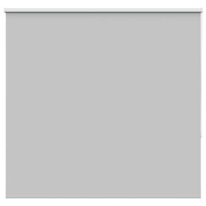 vidaXL Verdunkelungsrollo Hellgrau 165x175cm Stoffbreite 161,6cm