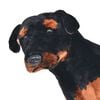 Produkt-Miniaturbild 3 von 5