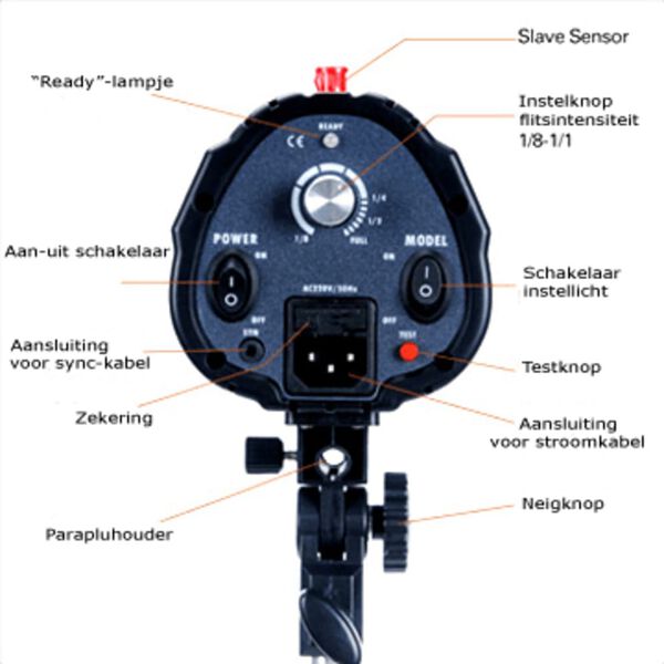 Studioblitz mit 2 Gitter Softbox 50 x 70 cm Stativ