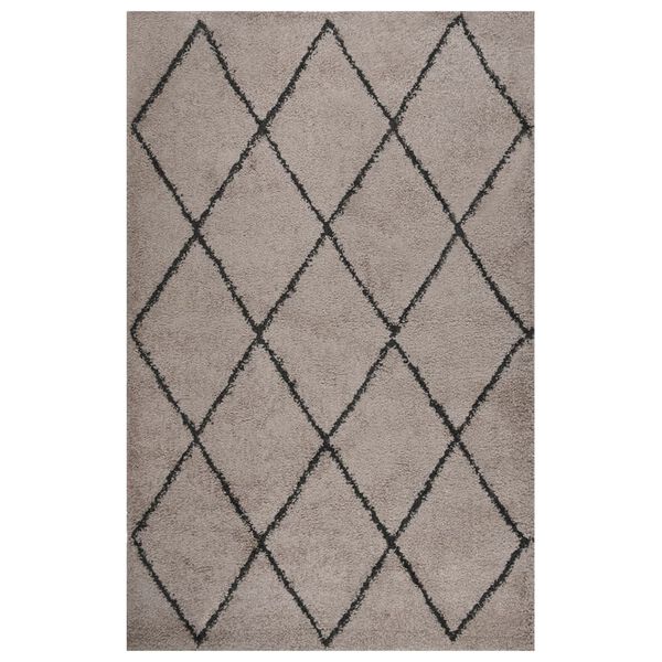 vidaXL Teppich Shaggy Hochflor Beige und Anthrazit 200x290 cm