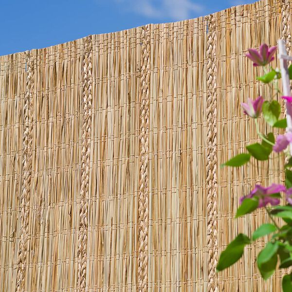 Nature Sichtschutz Carex-Riedgras 3&times;1,2 m