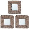 vidaXL Spiegel 3 Stk. 15&times;15 cm Weide
