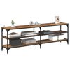 vidaXL TV-Schr&auml;nk Altholz 160 x 30 x 50 cm Verbundholz und Eisen