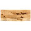 vidaXL Tischplatte 90x20x3,8 cm Baumkante Massivholz Raues Mangoholz