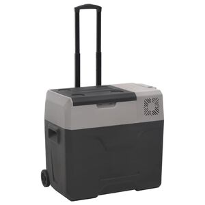 vidaXL K&uuml;hlbox mit Rollen und Griff Schwarz & Grau 30 L Polypropylen