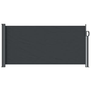 vidaXL Ausziehbares Seitenmarkise Schwarz 300 x 100 cm Polyester