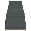 vidaXL Sonnenliege mit Kissen Hellgrau 55x199x50 cm Poly Rattan