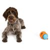 West Paw Hundespielzeug mit Zogoflex Toppl Marineblau S