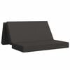 vidaXL Klappsofa Bett 120 x 67 x 45 cm Dunkelgrau