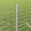 Produkt-Miniaturbild 4 von 7