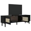 vidaXL TV-Schrank SENJA Rattan-Optik Schwarz 158x40x49cm Kiefernholz