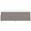 vidaXL Boxspringbett mit Matratze Taupe 120x200 cm Stoff