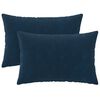 vidaXL Kissenbezug 2 stk. HEERLEN Blau 30 x 50 cm Mikrofaser Fleece