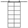 vidaXL Schiebet&uuml;r mit Beschlag Schwarz 102x205 cm ESG-Glas