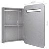 vidaXL LED-Bad-Spiegelschrank Betongrau 60x11x80 cm