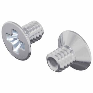 vidaXL Senkkopfschrauben 2 pcs Silber M4 x 6 mm Stahl