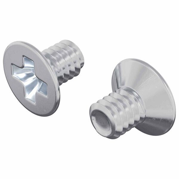 vidaXL Senkkopfschrauben 2 pcs Silber M4 x 6 mm Stahl