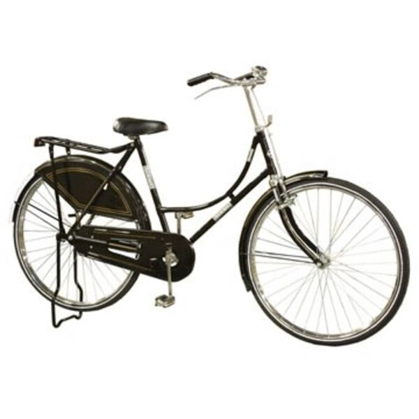 Damen Hollandrad mit Vorderradbremse