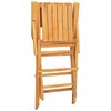 vidaXL Klappst&uuml;hle, 4 St&uuml;ck, 55 x 61 x 90 cm, Massivholz Teak