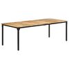 vidaXL Esstisch 220x100x76 cm Raues Mangoholz