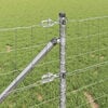 Produkt-Miniaturbild 5 von 17