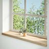 vidaXL Fensterb&auml;nke 2 Stk. Unbehandelt 120x30x2 cm Massivholz Eiche