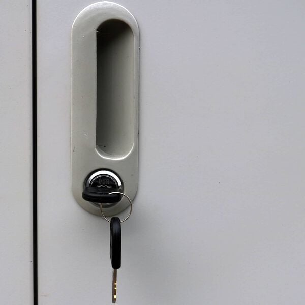 vidaXL Schlie&szlig;fachschrank Grau 45 x 90 x 180 cm