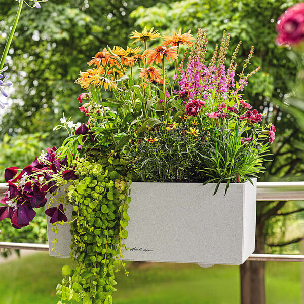 LECHUZA Pflanzgefäß BALCONERA Stone 50 ALL-IN-ONE Quarzweiß