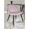 Venture Home Esszimmerst&uuml;hle 2 Stk. Velvet Samt Schwarz Messing Rosa