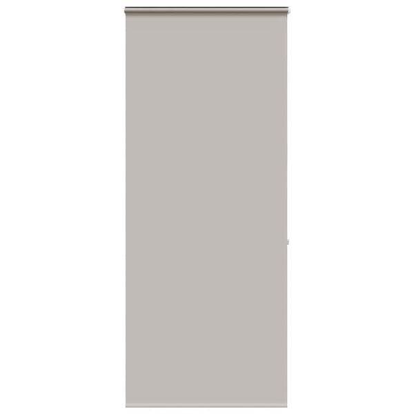 vidaXL Duschrollo mit Kassette 100x240 cm Stoffbreite 96 cm