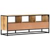 vidaXL TV-Schrank 120x30x45 cm Massivholz Mango