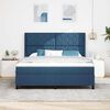 vidaXL Boxspringbett mit Matratze mit Kopfteil Blau 180 x 200 cm Stoff